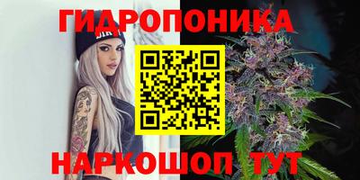 молекула духа Донской