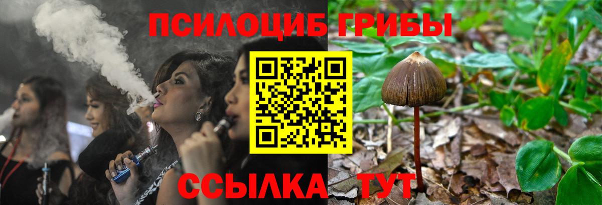 Псилоцибиновые грибы Cubensis  Галлюциногенные грибы Cubensis  Биробиджан  Вход с VPN 